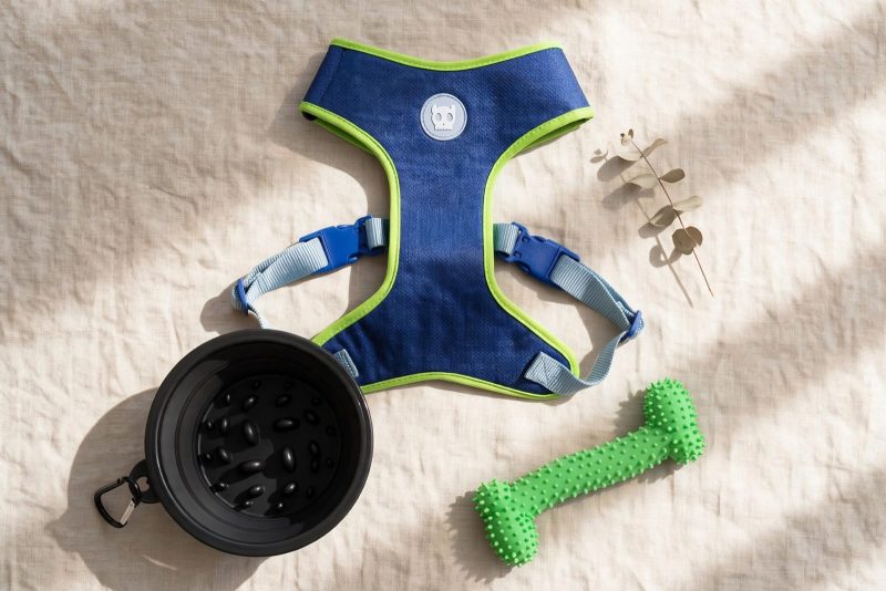Kit Paseo Perro Premium Zee Dog -Edición "Astro” Air Mesh